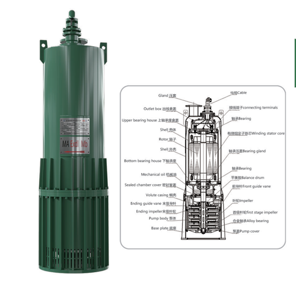 礦(kuàng)用隔爆型排污排沙潛水電泵(bèng)